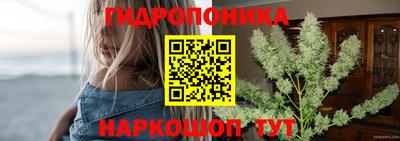 сатива Комсомольск-на-Амуре