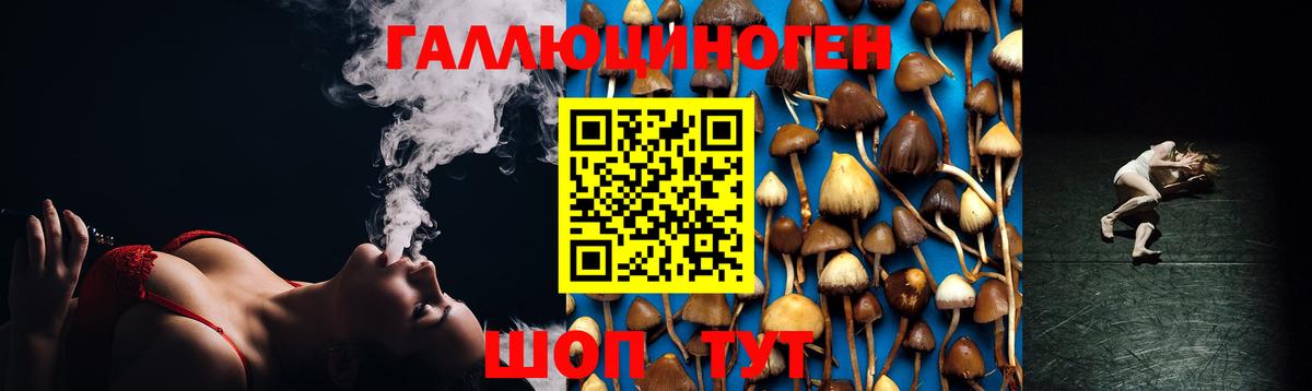 Псилоцибиновые грибы Psilocybe  Вход с VPN  Луховицы 